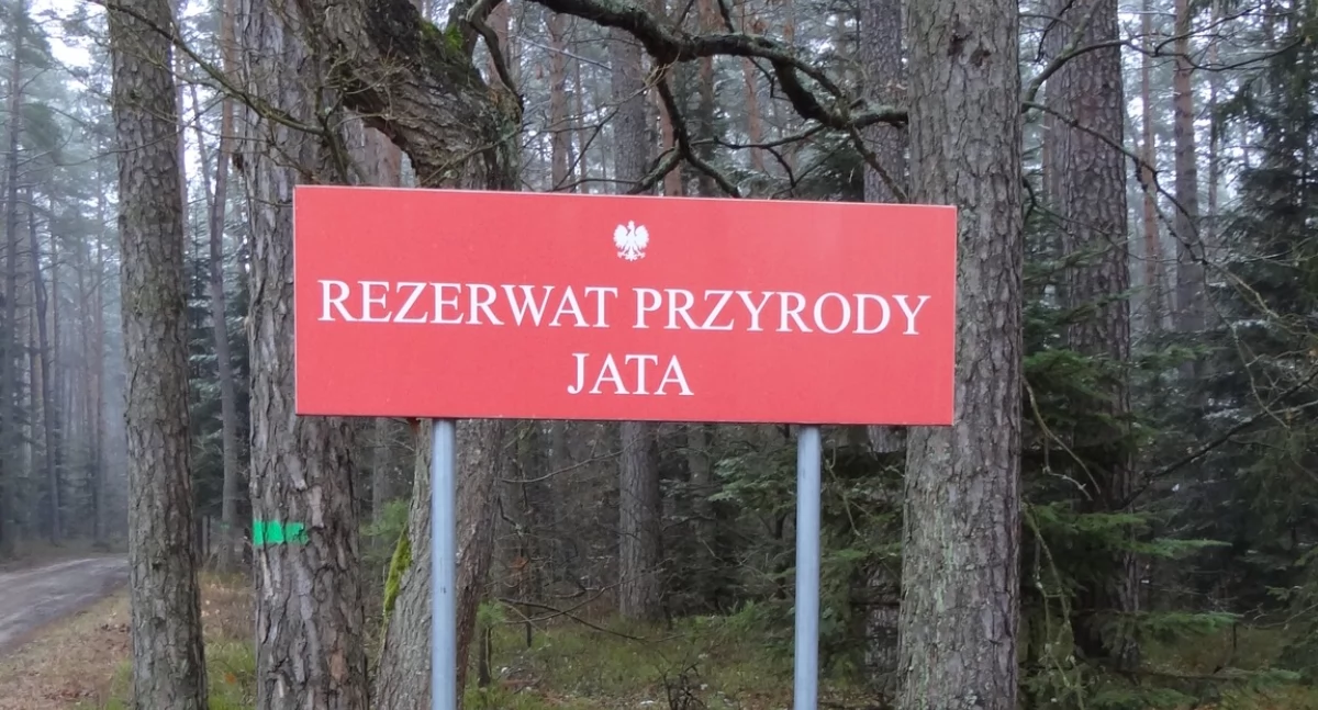 fot. Nadleśnictwo Łuków/Facebook