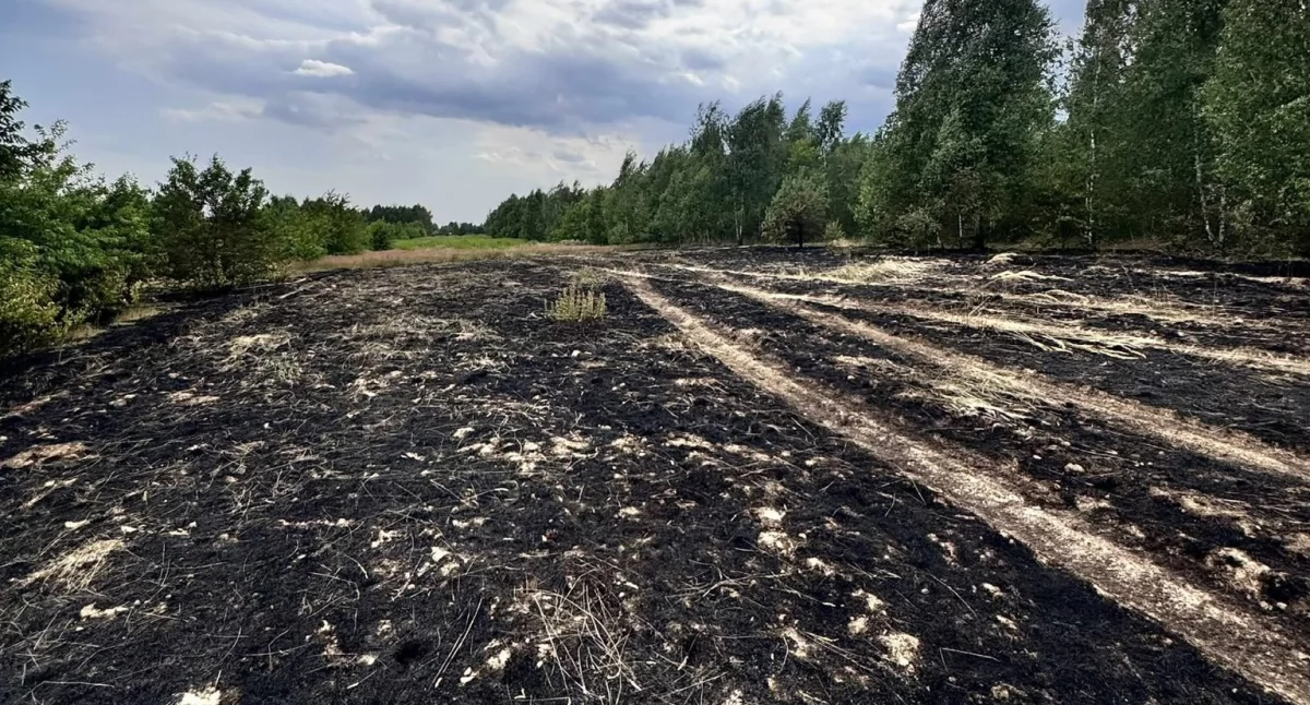 fot. OSP KSRG Gręzówka