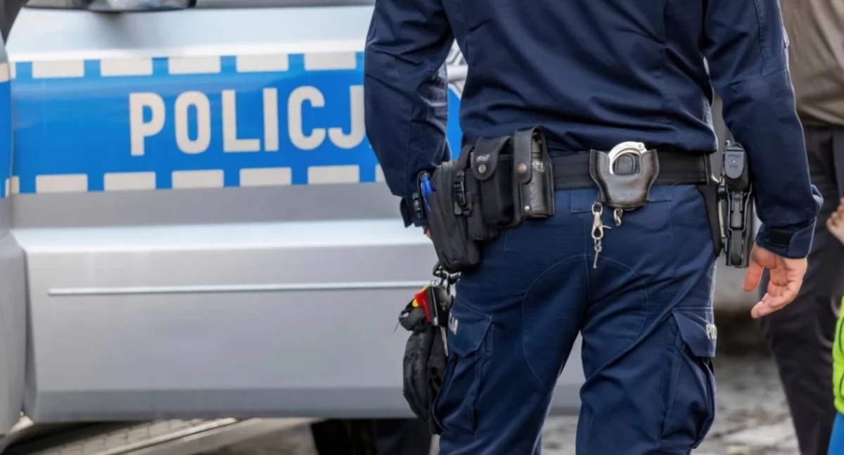 Wypadki, Chwila nieuwagi uderzył! wjechało Renault - zdjęcie, fotografia