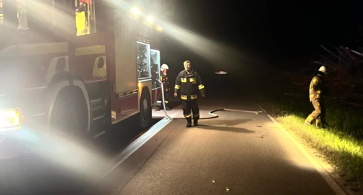 Straż Pożarna, Tajemniczy ogień drodze było podpalenie Strażacy Jamielnego walczyli żywiołem - zdjęcie, fotografia
