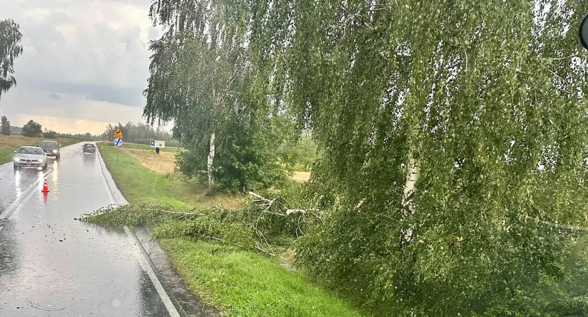 fot. OSP KSRG Tuchowicz