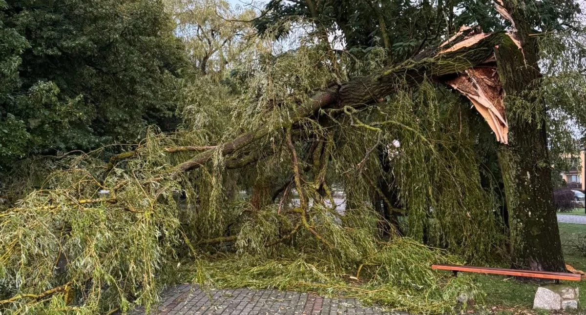 Fot. OSP KSRG Adamów