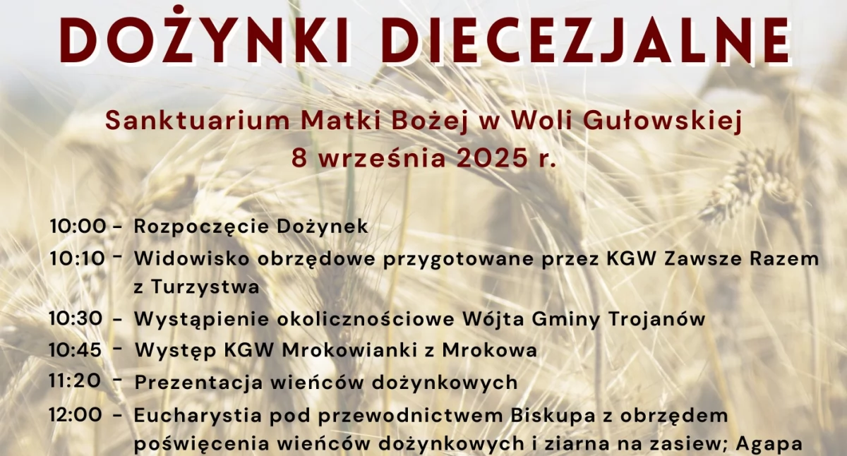 materiał organizatora