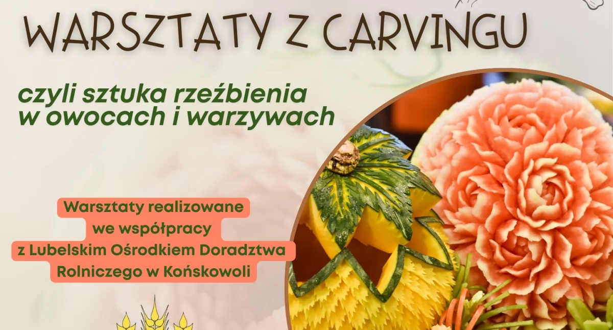 materiał organizatora