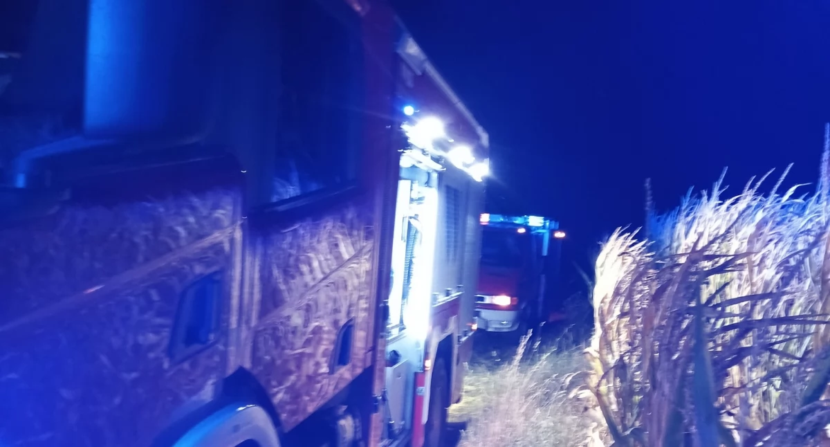 OSP KSRG DĄBIE