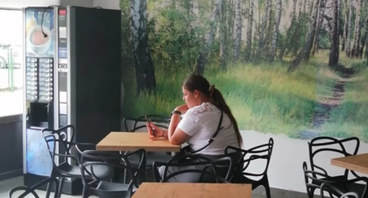 Szkolnictwo, szkolnej ławki brzozowego uczniowie stworzyli swoją oazę spokoju - zdjęcie, fotografia