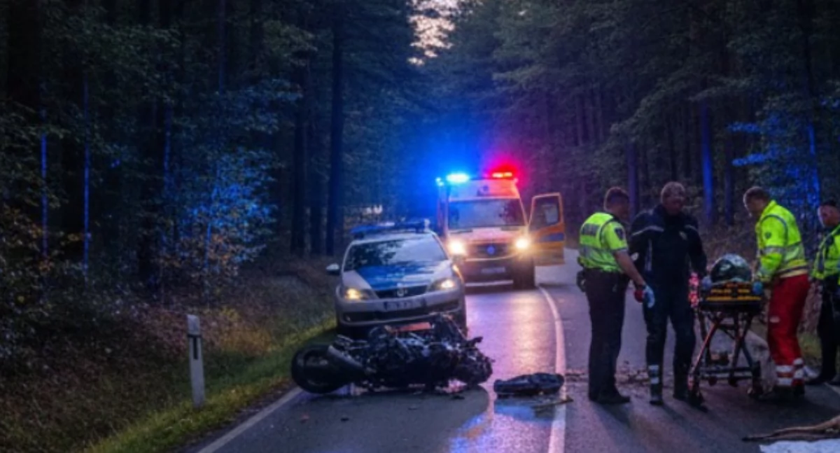 Wypadki, Groźne zderzenie sarną Motocyklista szpitalu - zdjęcie, fotografia