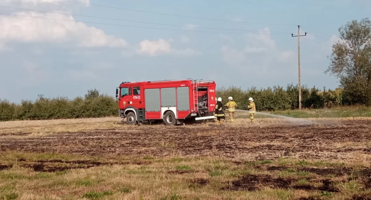 Straż Pożarna, Pożar ścierniska Krzówce Strażacy szybko opanowali ogień - zdjęcie, fotografia