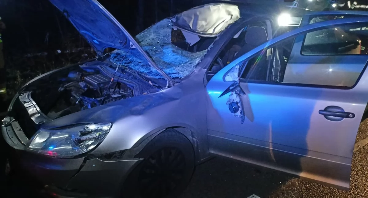 fot. Policja Ryki