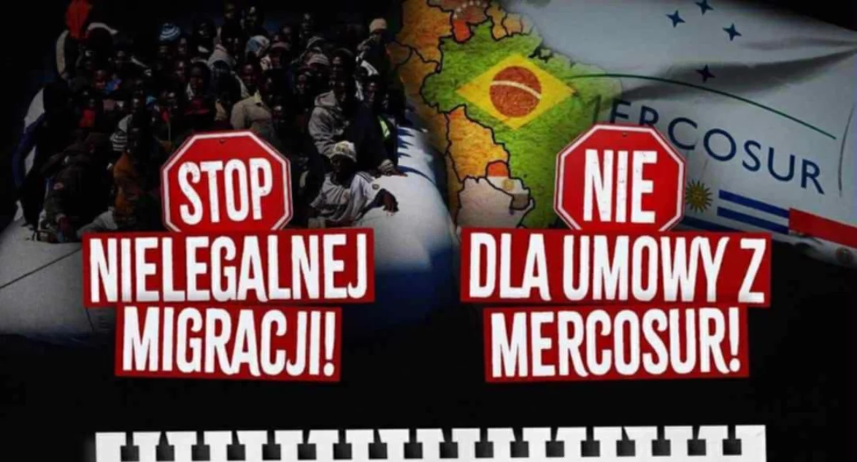 materiał organizatora