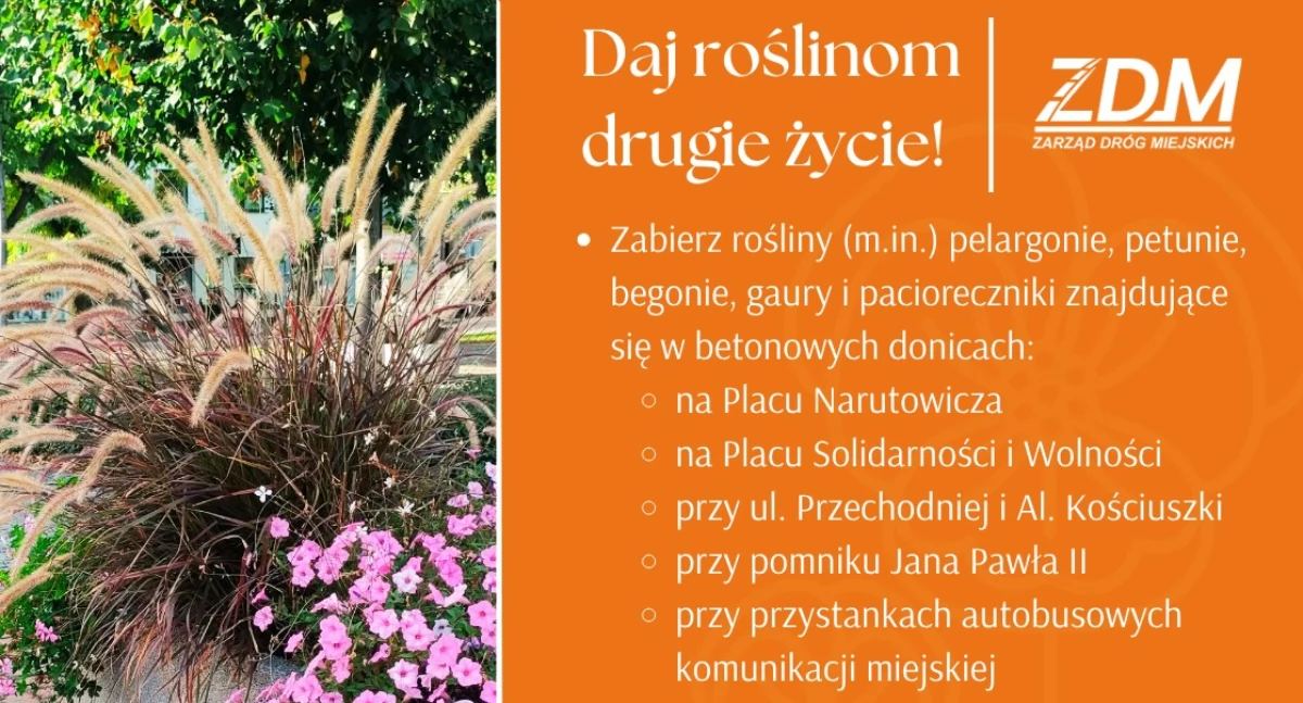 Materiał: Miasto Łuków