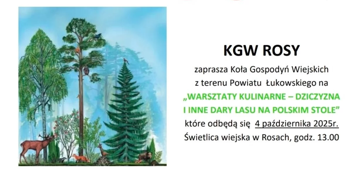 materiał organizatora