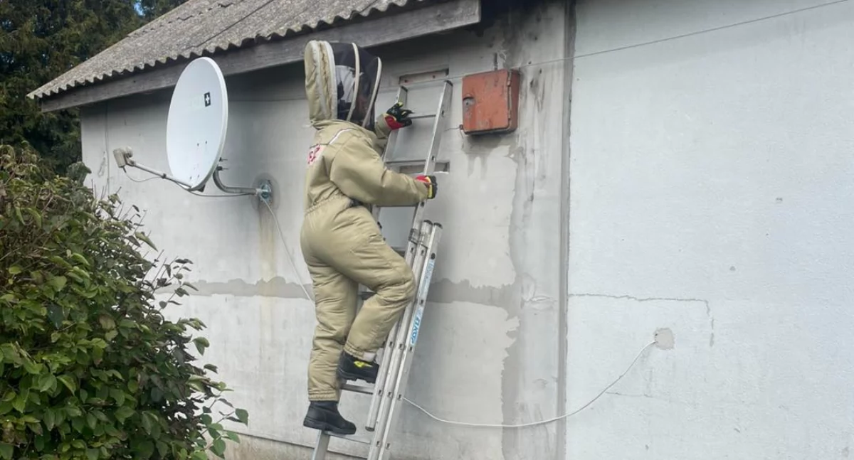 fot. OSP Wojcieszków