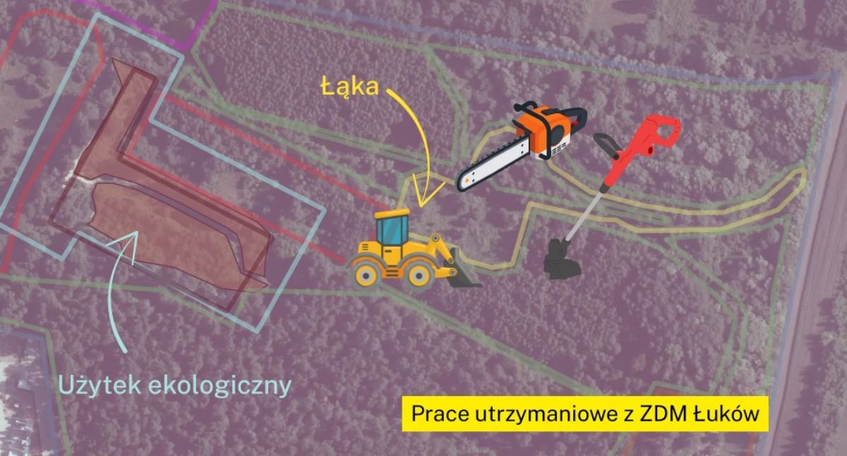 fot. Zielona Mrówka Fundacja/Facebook