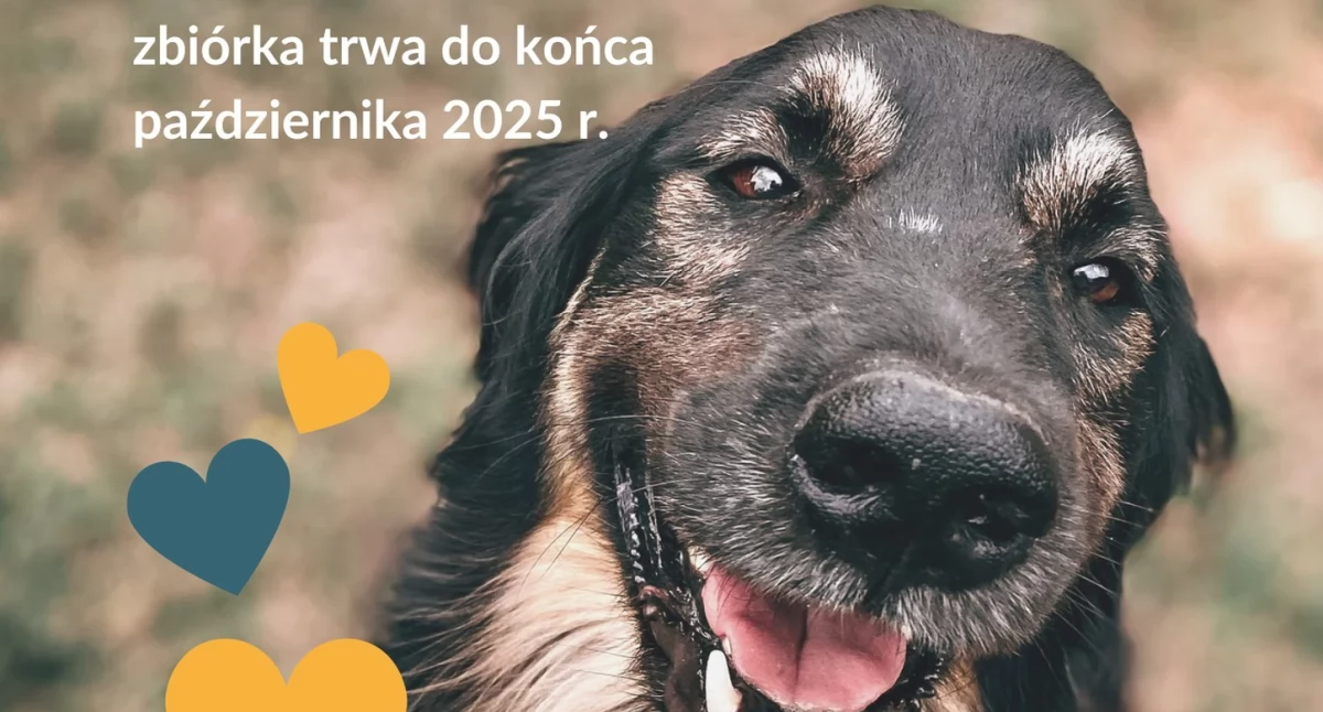 fot. Zespół Szkół im. Władysława Tatarkiewicza w Radoryżu Smolanym