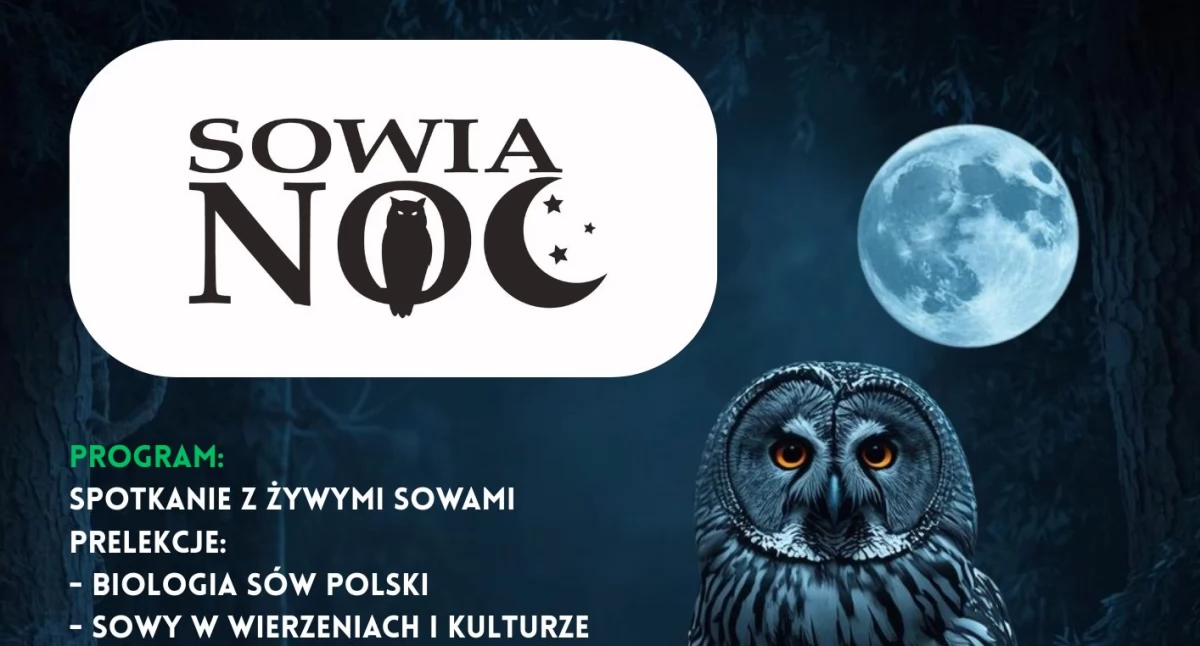 materiał organizatora