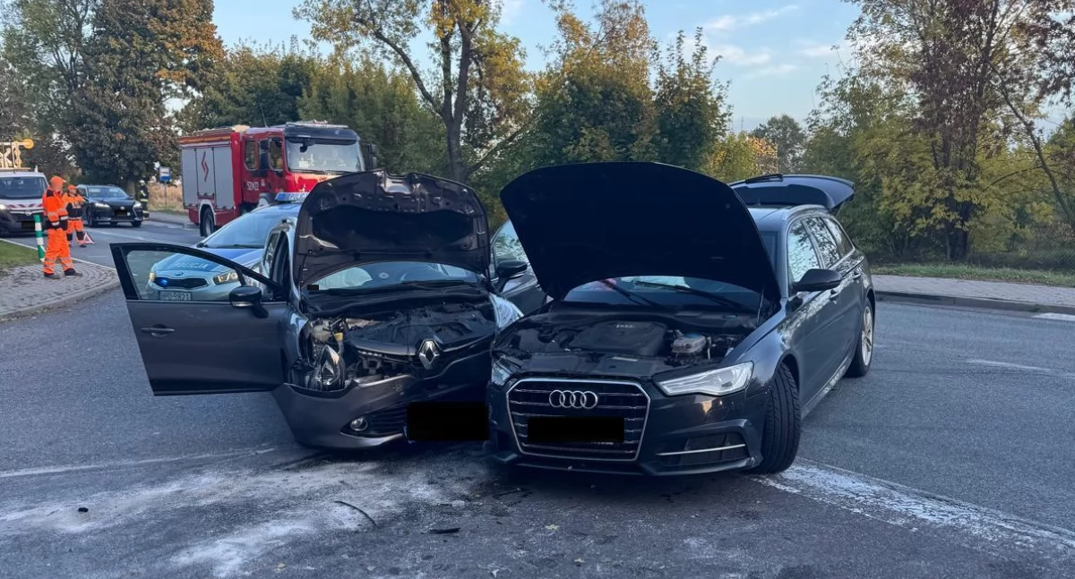 fot. Policja Ryki
