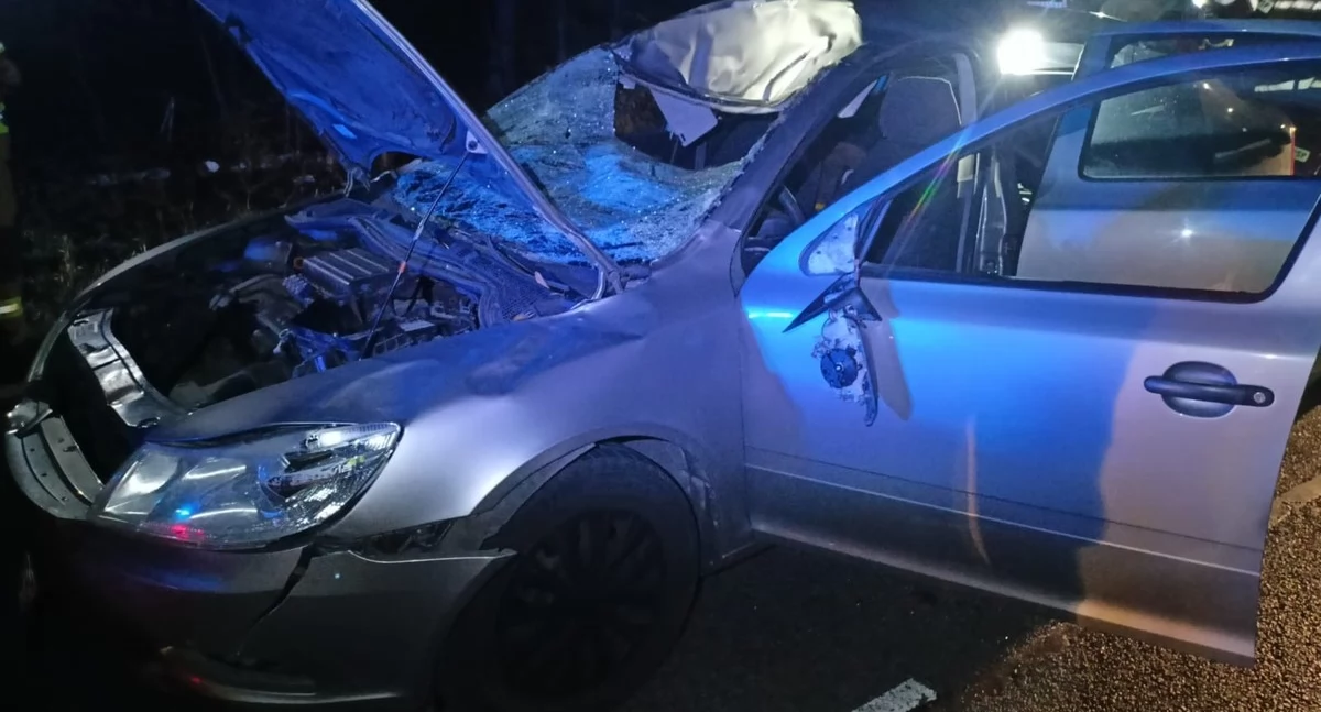 fot. Policja Ryki