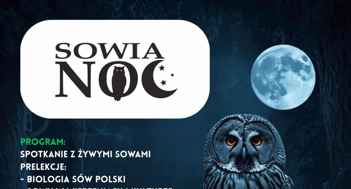 Wiadomości Partnera, Sowia Kownatkach Spotkanie nocnymi osobnikami praktyczna lekcja ochrony - zdjęcie, fotografia