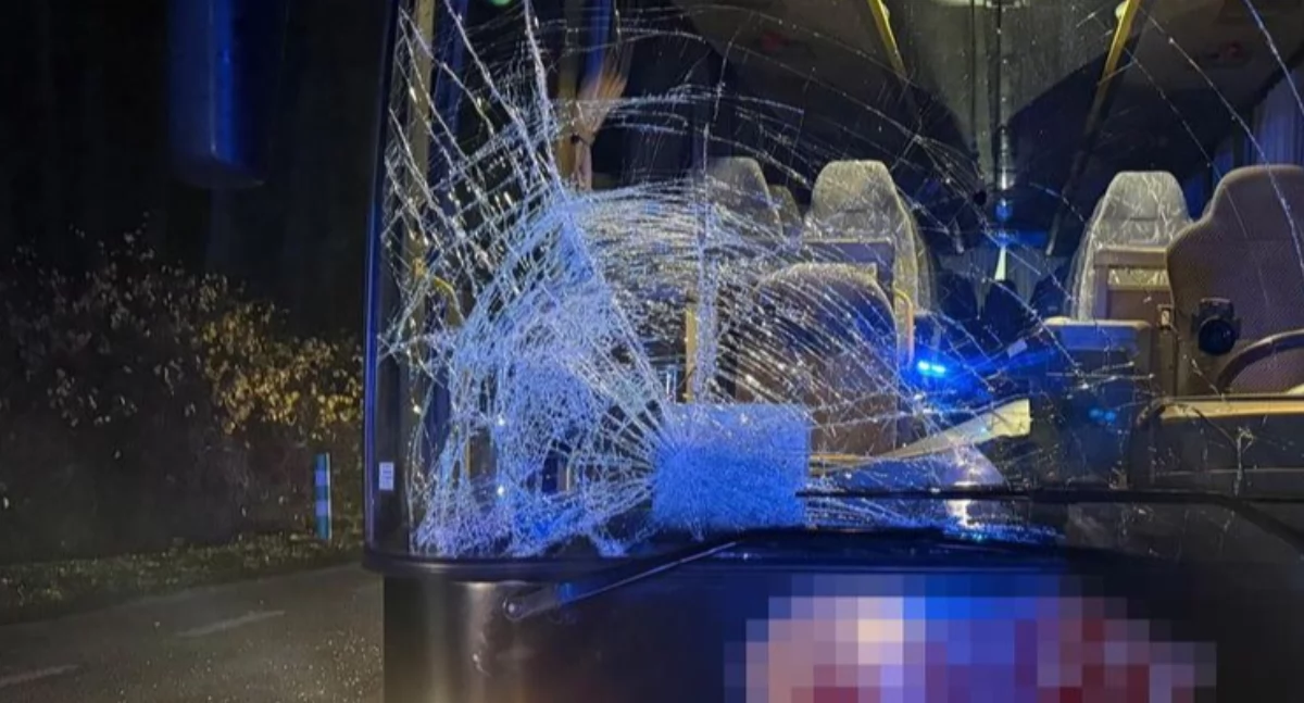 Sprawy społeczne, Dramat drodze! można było uniknąć ŚMIERCI Policja szuka KRYTYCZNYCH sekund wypadku! - zdjęcie, fotografia