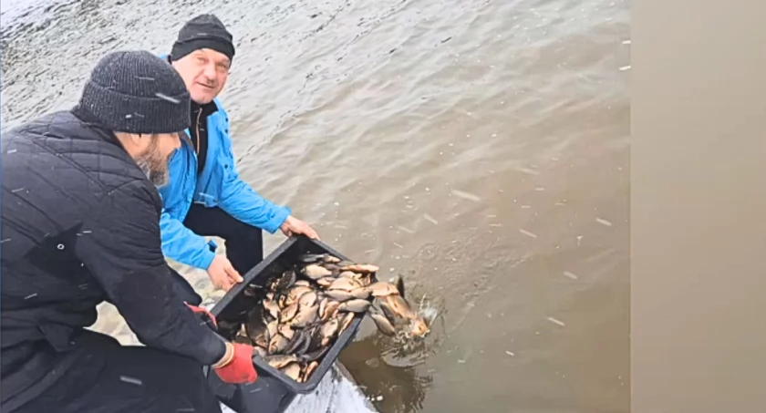 WIDEO: PZW Lukow Miasto 