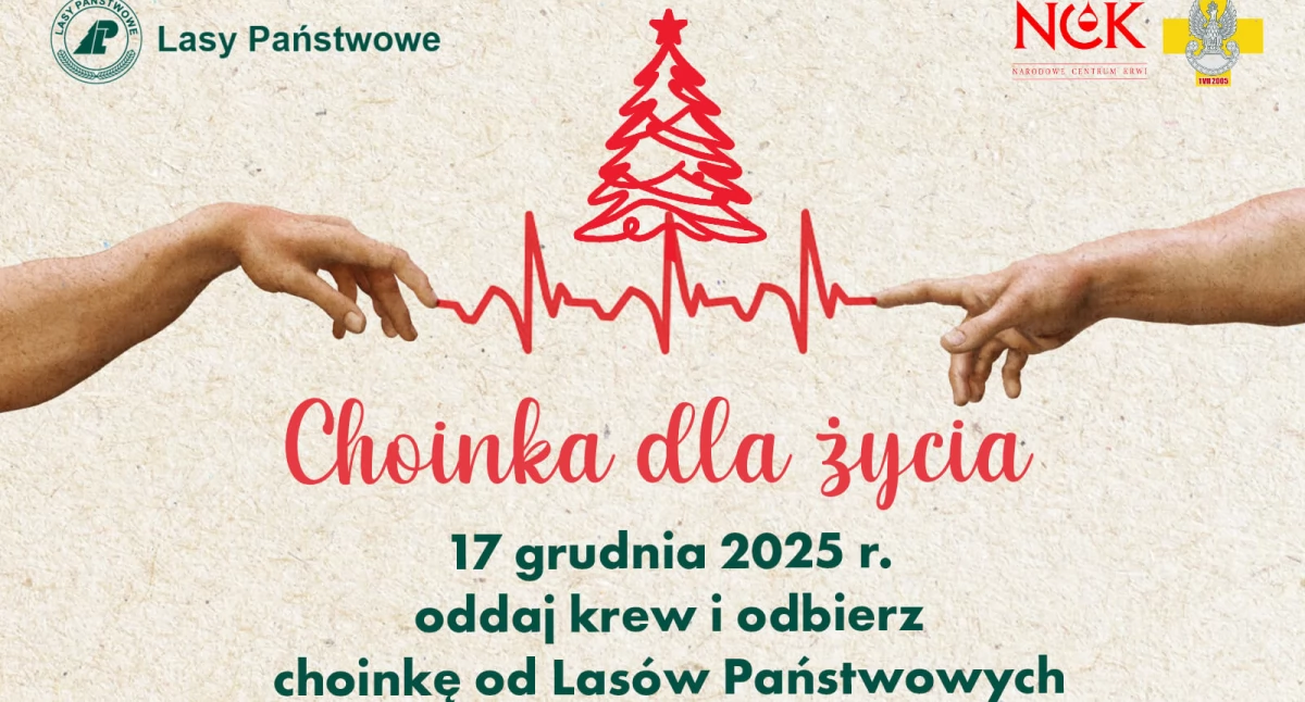 fot. Nadleśnictwo Łuków