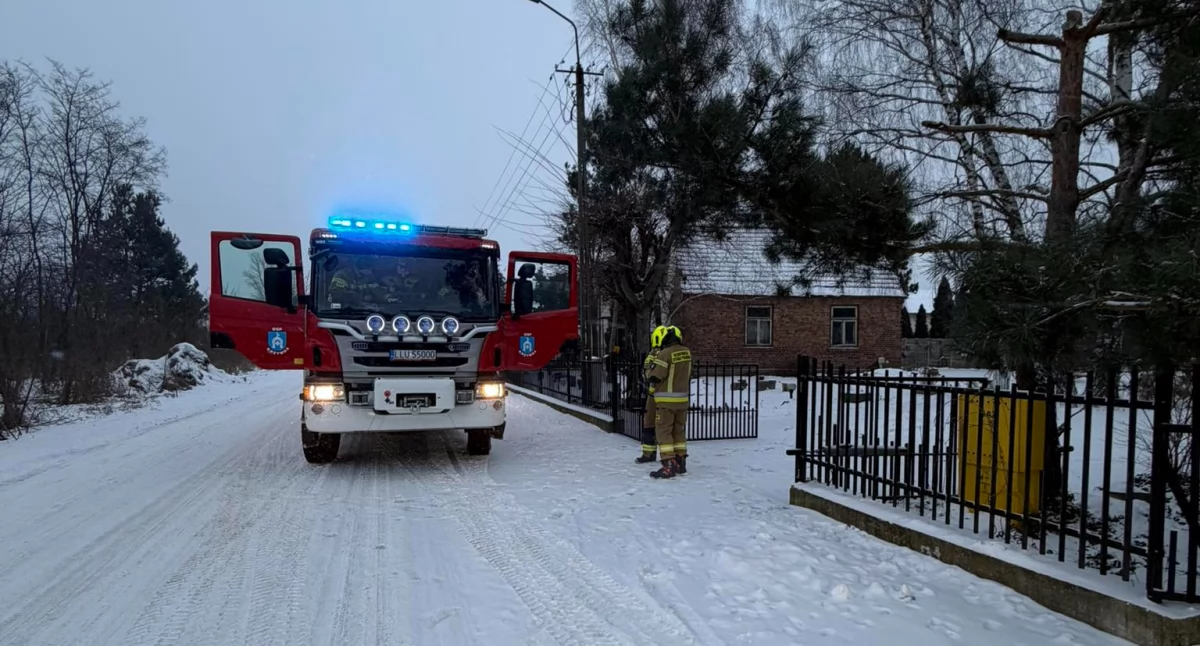 Straż Pożarna, Strach Krzywdzie! Służby pilnie odcięły było groźnie - zdjęcie, fotografia