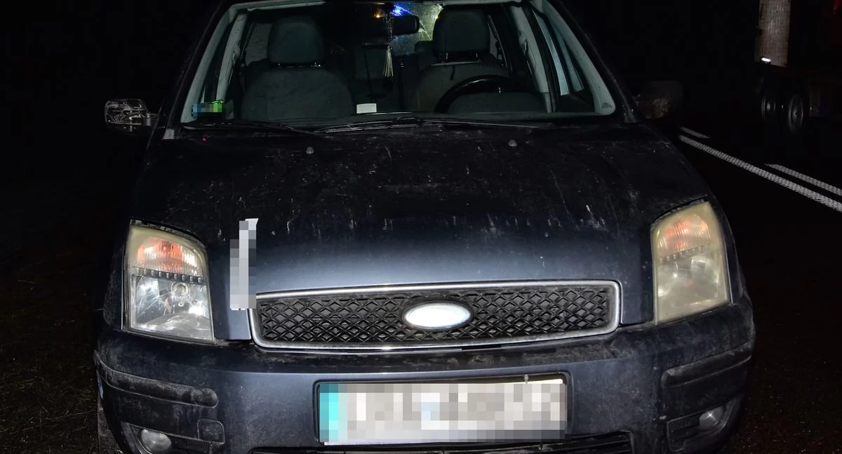 Fot. Policja w Radzyniu