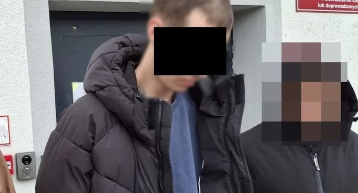 Policja, SZOK! Udawali policjantów prokuratorów Ukradli fortunę! - zdjęcie, fotografia