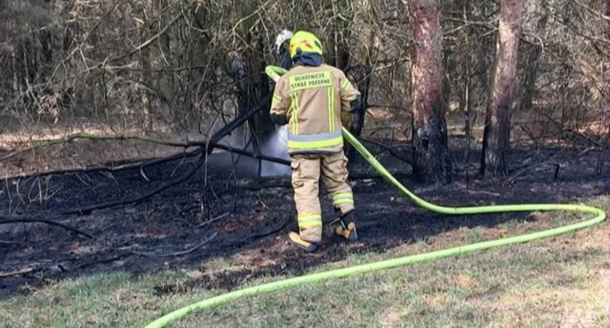 Fot. OSP Podosie! Alarm o 1155 postawił na nogi strażaków z Podosia. W Gołych Łazach doszło do pożaru lasu, a płomienie szybko zajmowały suchą ściółkę. Na miejscu działały wspólnie OSP Podosie, OSP Gołe Łazy oraz OSP KSRG Fiukówka. Dzięki sprawnej akcji udało się opanować sytuację i nie dopuścić do rozprzestrzenienia się ognia. To już piąty wyjazd OSP Podosie w tym roku.