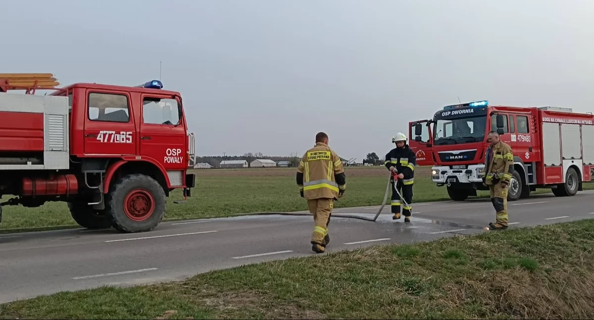 Galeria pokazuje akcję gaśniczą w Ciechominie z 30 marca, gdy zapaliła się sucha trawa przy rowie retencyjnym. Jako pierwsi na miejscu byli strażacy z OSP Powały, którzy szybko odcięli płomieniom drogę do zabudowań i pól. Do działań dołączyła OSP Dwornia, a wspólna akcja pozwoliła opanować pożar, zanim rozprzestrzenił się po okolicy.