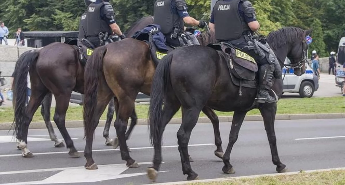 Policja, Konie zamiast mechanicznych Łuków wraca korzeni przez drogie paliwo - zdjęcie, fotografia