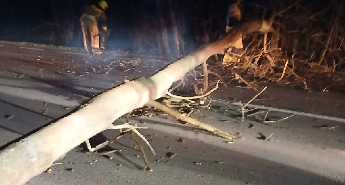 Fot. OSP Wola Okrzejska /31 marca tuż przed 22 na trasie Wola Okrzejska Krzywda na jezdnię przewróciło się drzewo i całkowicie zablokowało przejazd. Na miejsce szybko przyjechali strażacy z OSP Wola Okrzejska, zabezpieczyli teren i sprawdzili, czy nikt nie potrzebuje pomocy. Następnie pocięli i usunęli drzewo z drogi. Po kilkudziesięciu minutach ruch wrócił do normy.