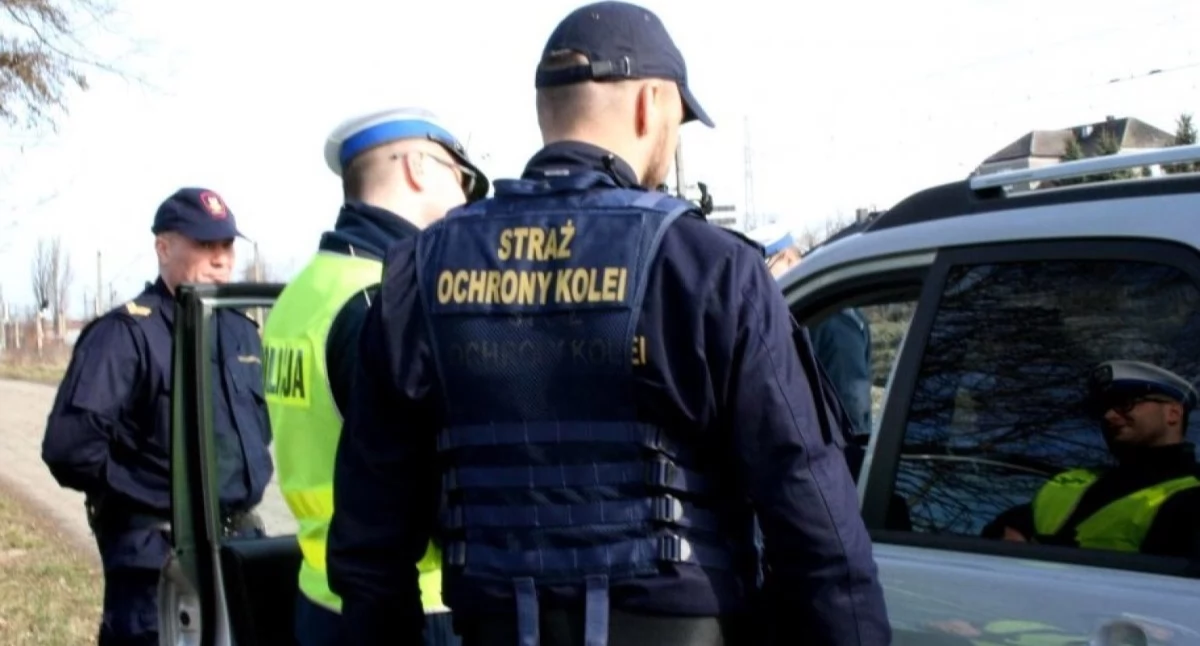 Policja, WPADŁ TORACH! SOBIE MYŚLAŁ STRASZNY ODÓR ZDRADZIŁ LATKA! - zdjęcie, fotografia