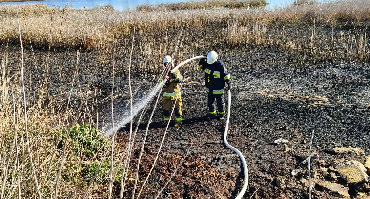 Fot. OSP Dąbie i OSP Jeleniec 