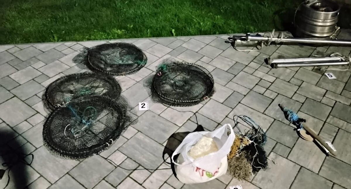 Policja, RZECE WIEPRZ! Kłusownik wpadł „gorącym” towarem miał prawdziwą bimbrownię! - zdjęcie, fotografia