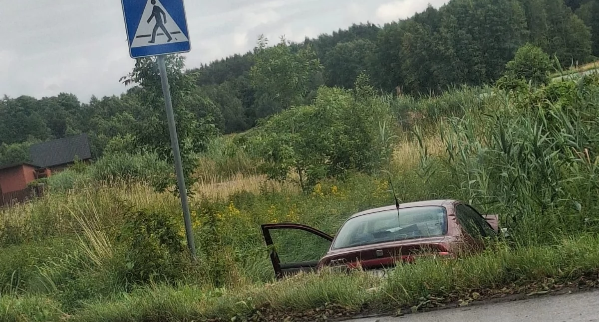 Fot. P. Danuta /Czytelniczka Łuków.Tv