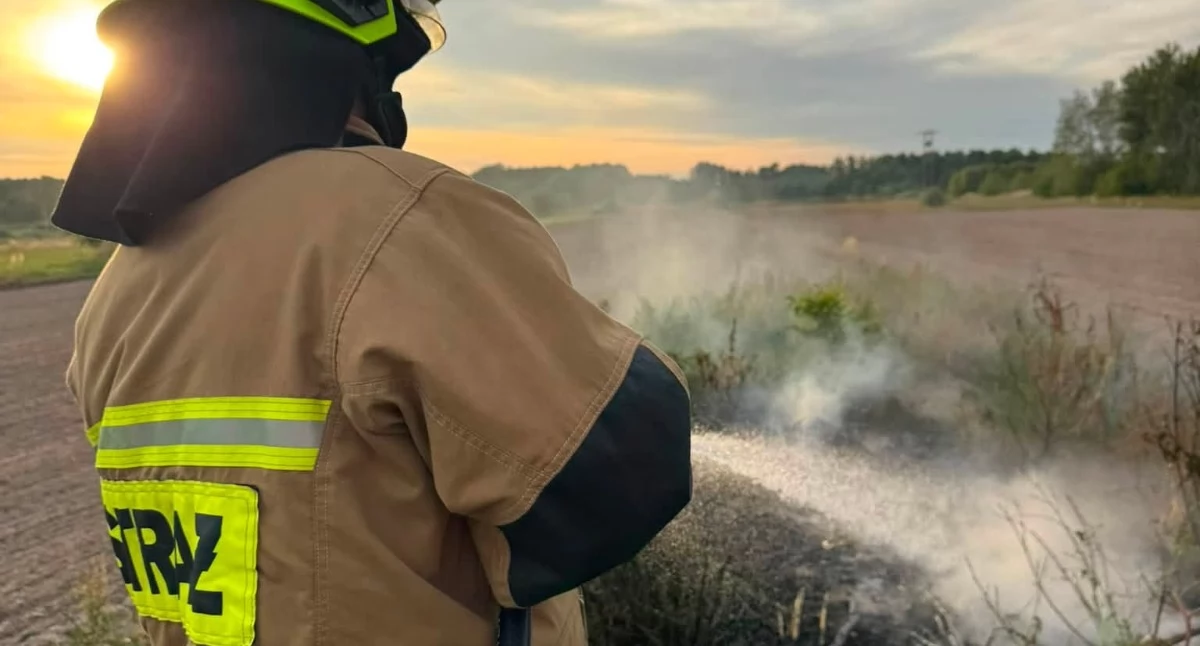 Fot. OSP Adamów /W piątek o 182:5 przy ul. Spokojnej w Adamowie zauważono pożar nieużytków. Na miejsce szybko dotarli strażacy z OSP KSRG, którzy zabezpieczyli teren i podali prąd wody na ogień. Dzięki sprawnej akcji płomienie nie zdążyły przenieść się na sąsiednie działki. Po dogaszeniu teren został dokładnie sprawdzony i przelany. Strażacy apelują o ostrożność w czasie suszy.
