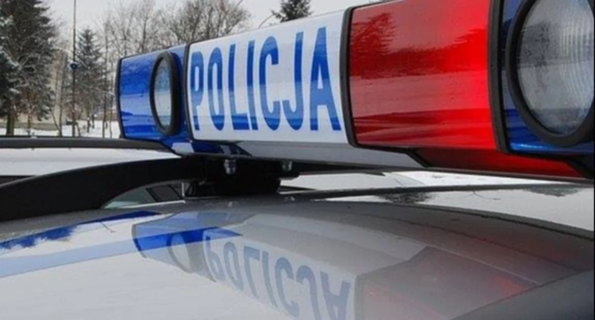 Wypadki, Alkohol kierownicą Aleksandrowie Kierowca Passata stracił panowanie wjechał - zdjęcie, fotografia