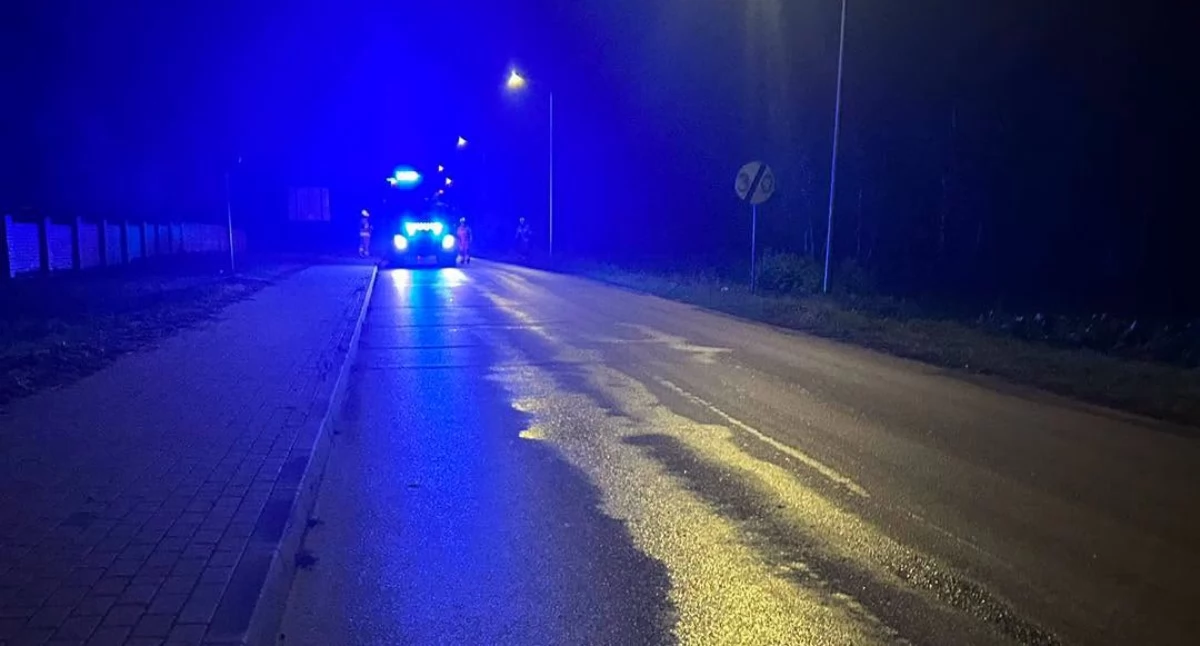 Straż Pożarna, Niebezpiecznie Wojcieszkowie jezdni interwencja dwóch jednostek - zdjęcie, fotografia