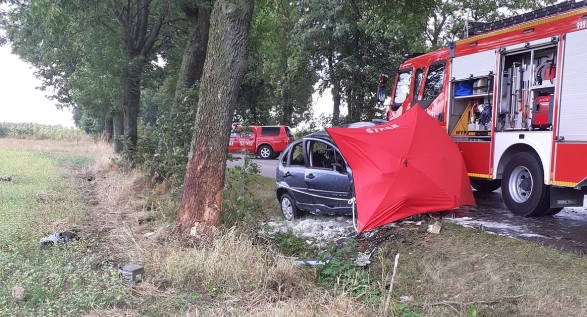 Wypadki, uderzyło drzewo Citroen zapalił - zdjęcie, fotografia