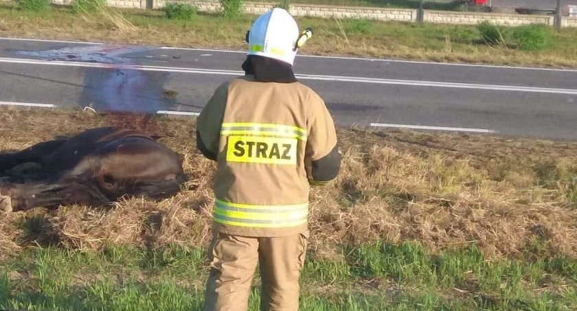 Wypadki, Wypadek Czerśli przeżył (ZDJĘCIA) - zdjęcie, fotografia
