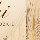 zdjęcie nr 28