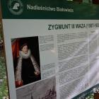 zdjęcie nr 73