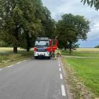Fotka nr 1 z 2