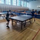 zdjęcie nr 12