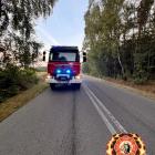 Fotka nr 3 z 7