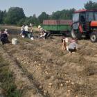 zdjęcie nr 42