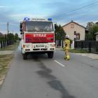 Fotka nr 1 z 3