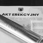 zdjęcie nr 11